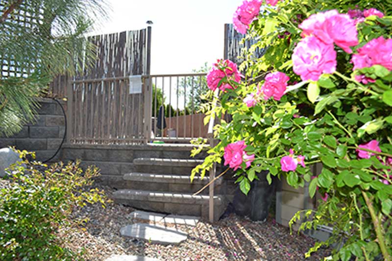Flowers Garden Path To Pool